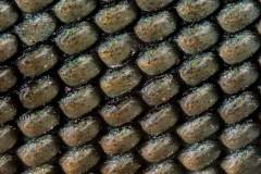 2025-10-16-08-02-07-CS4-copia