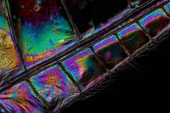 2025-10-28-09-36-11-CS4-copia