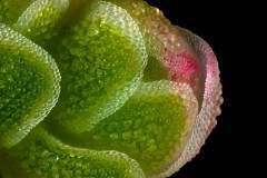 2025-12-16-10-33-01-CSmoothing4-copia