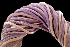 fibra