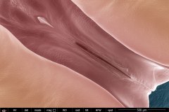 convergencia-web
